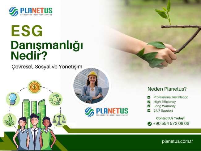 ESG Danışmanlığı Nedir ESG Danışmanlığı Nedir