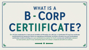 B Corp Sertifikası Nedir?
