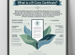 B Corp Sertifikası Nedir?